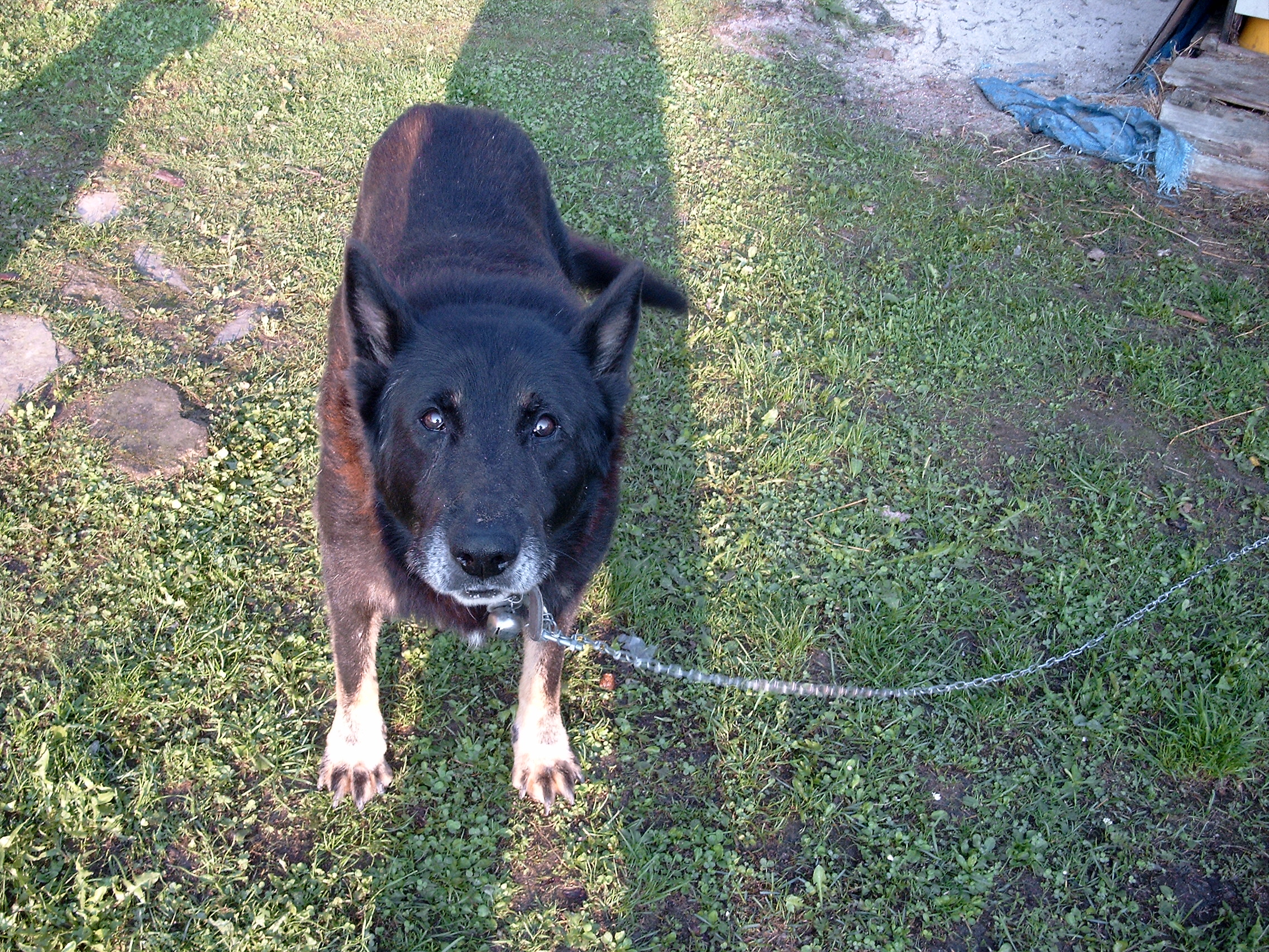 Snímek 005.jpg