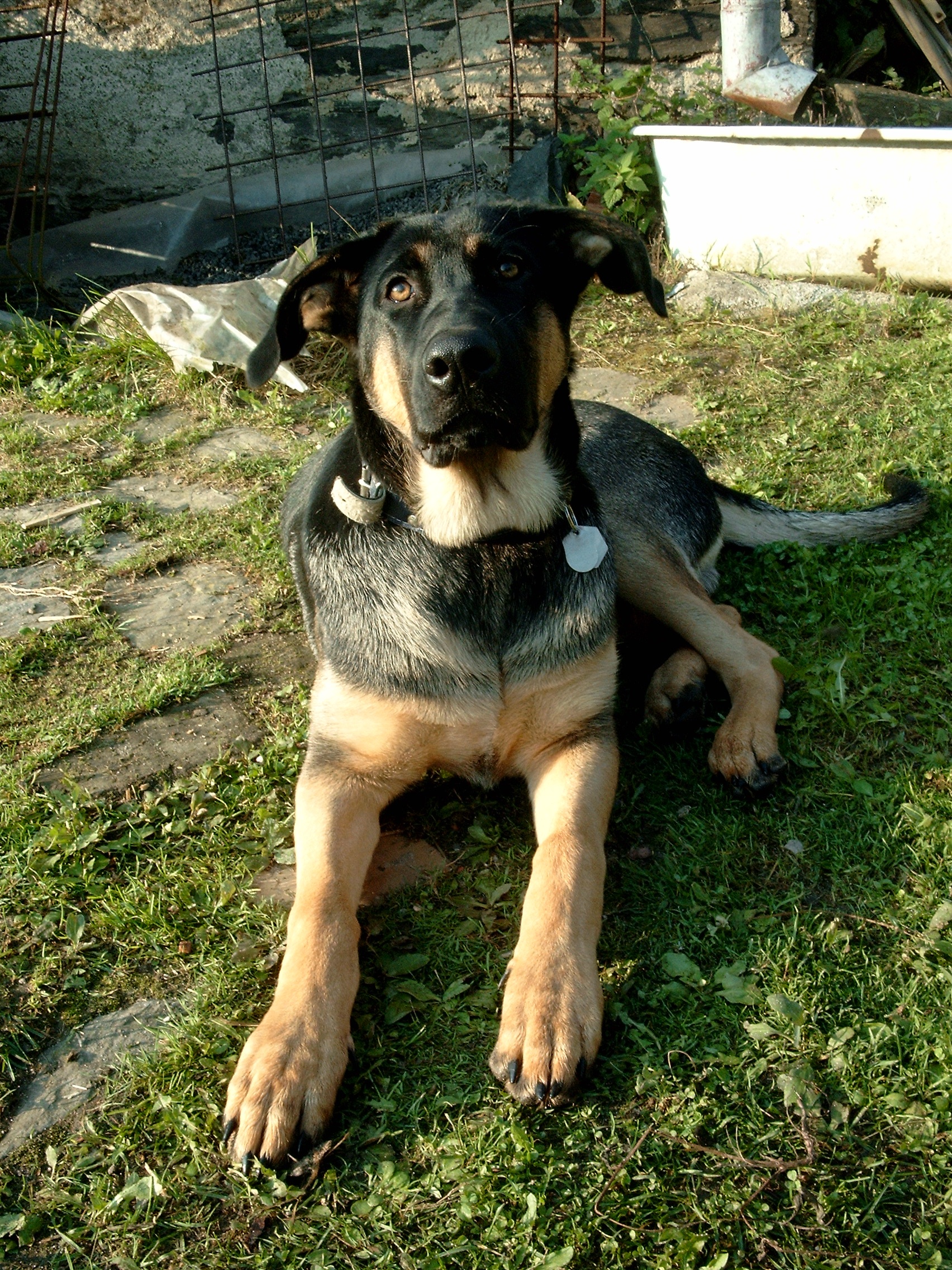Snímek 009.jpg