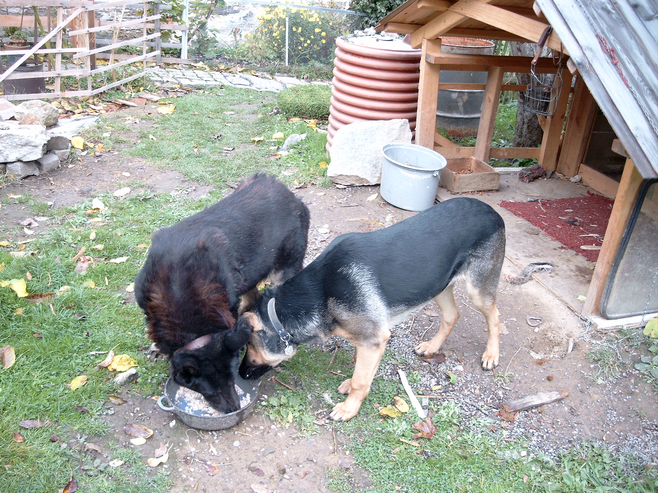 Snímek 025.jpg