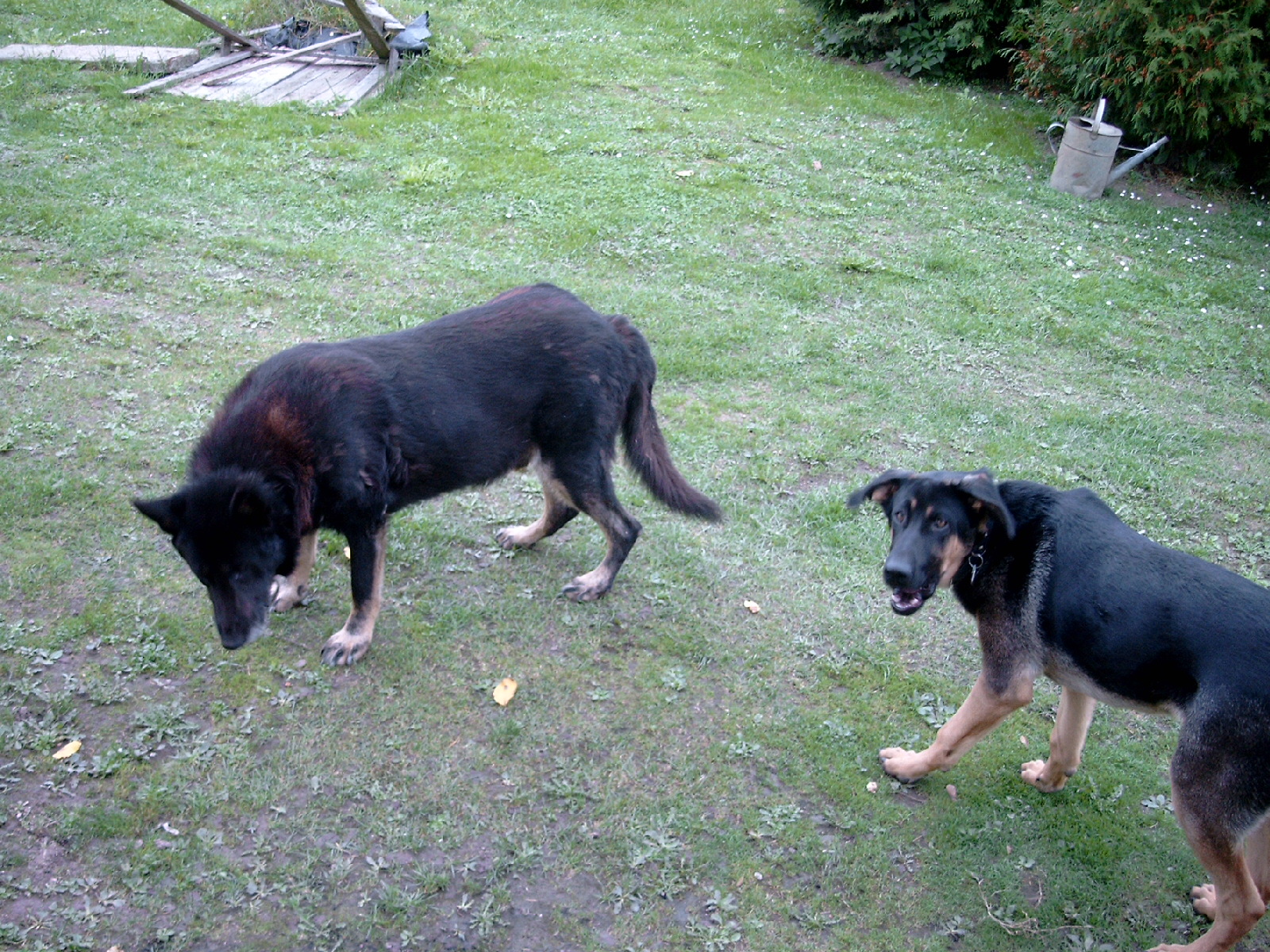 Snímek 026.jpg