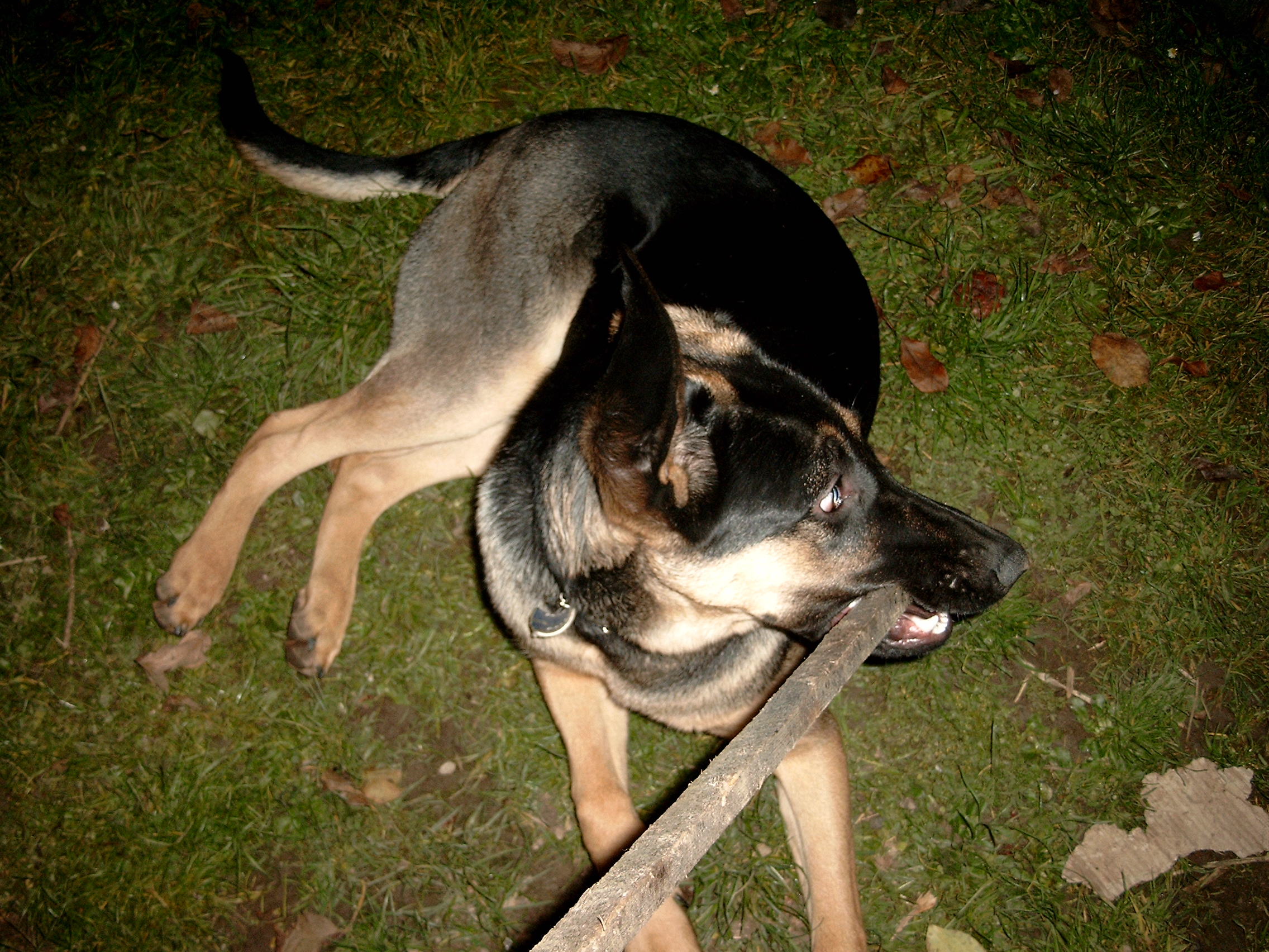 Snímek 066.jpg