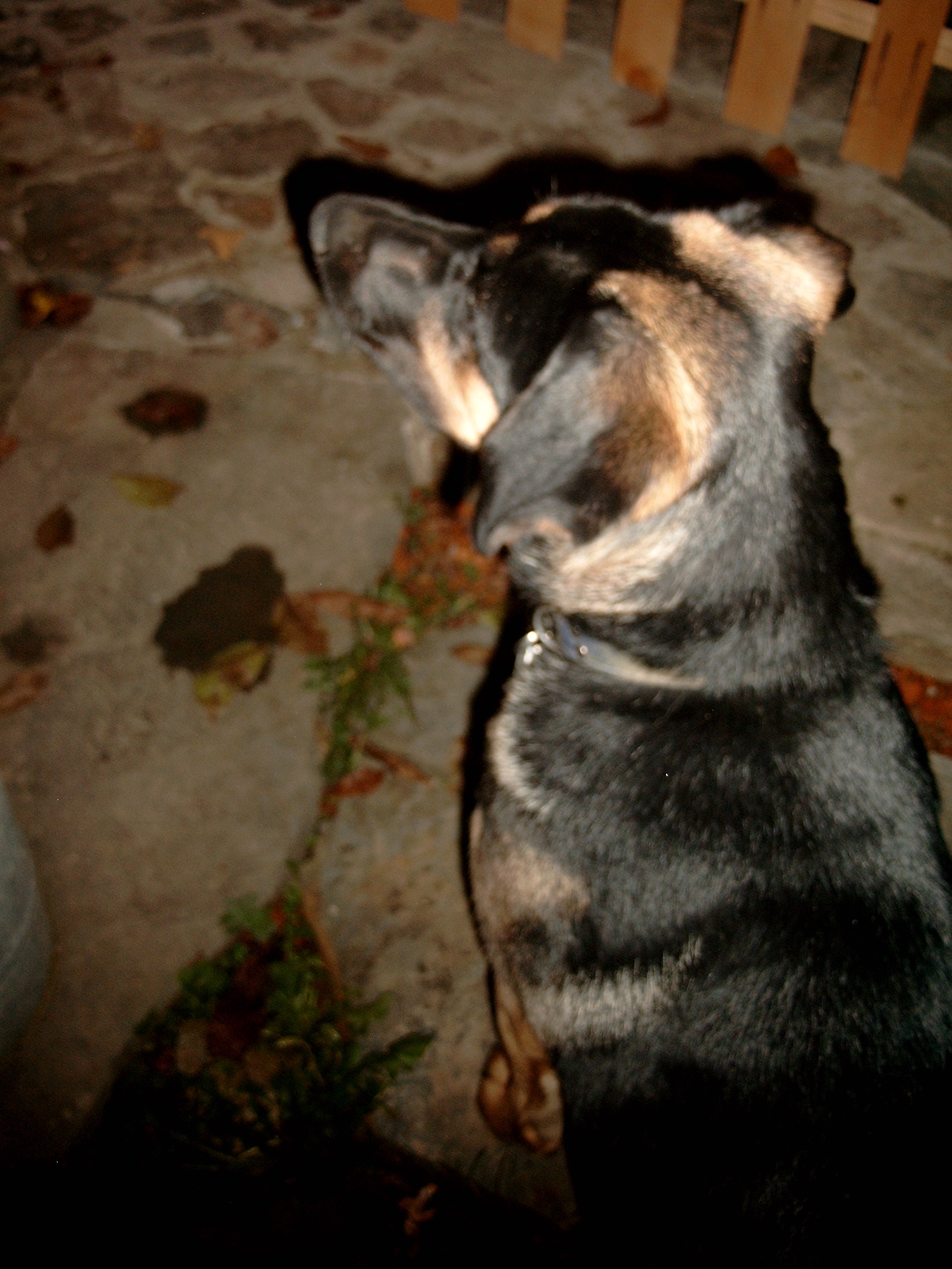Snímek 070.jpg