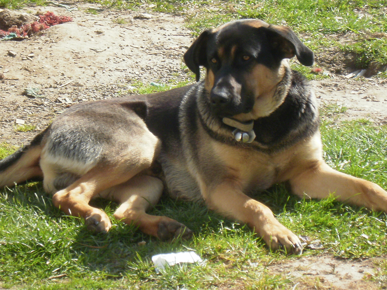 takhle se mi líbí-květen-2010.JPG