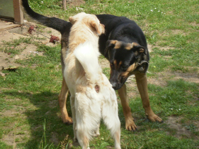 1.7.2010.JPG
