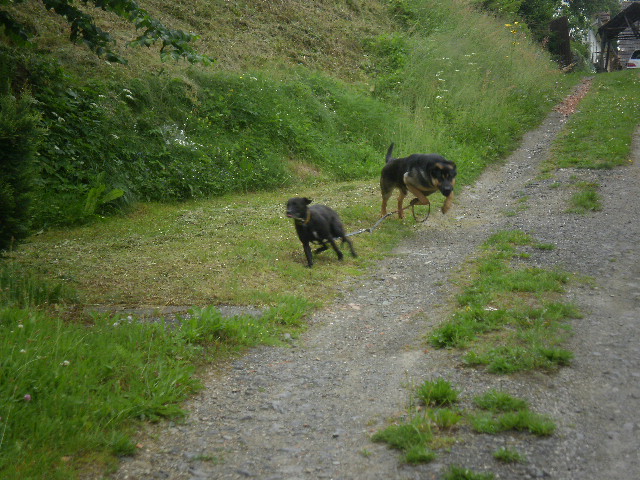 15.6.2010-Azor+Lejdyna.JPG