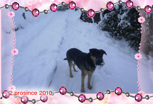 loonapix_129136433614687900.jpg