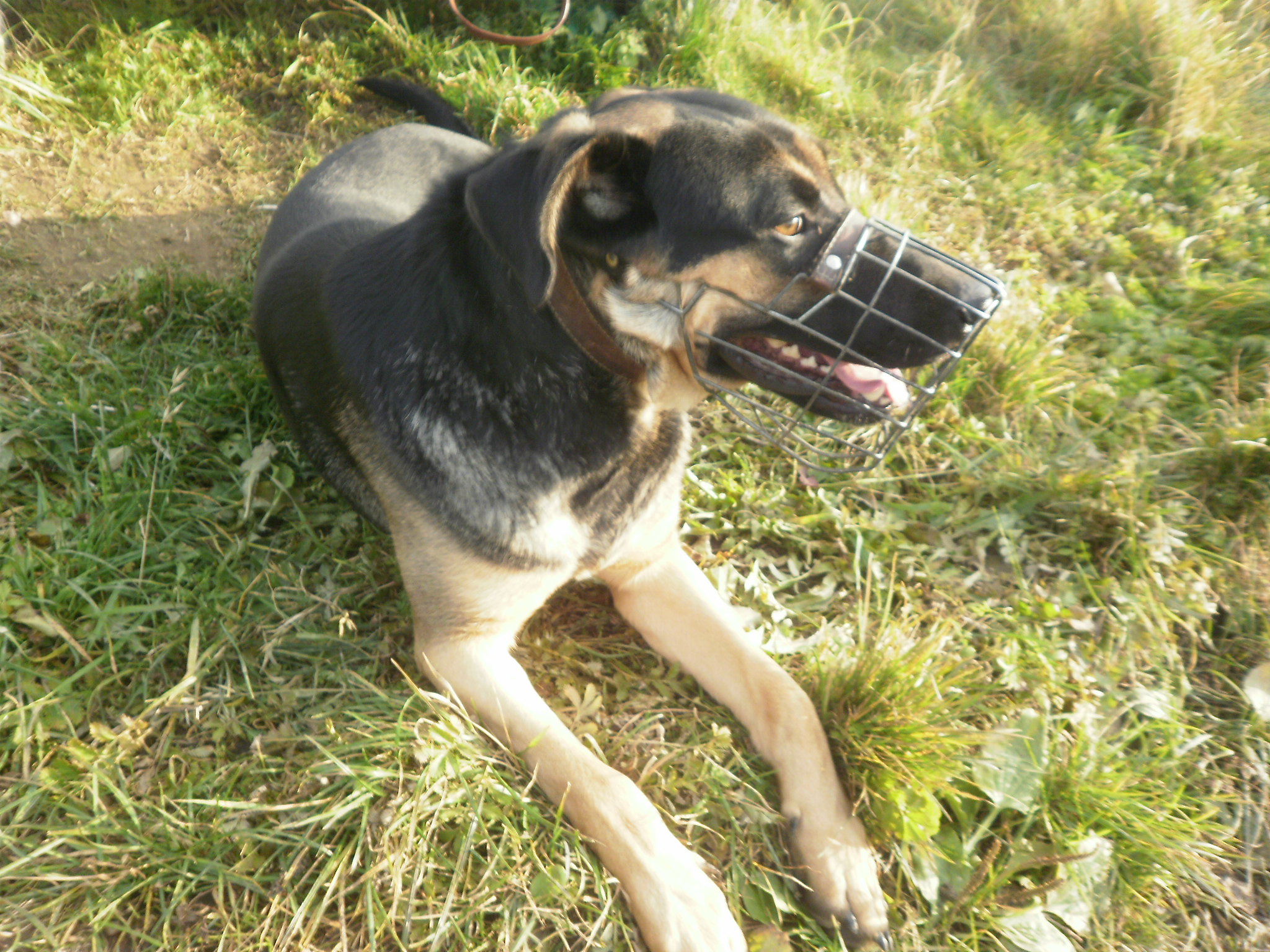 PA010016.JPG